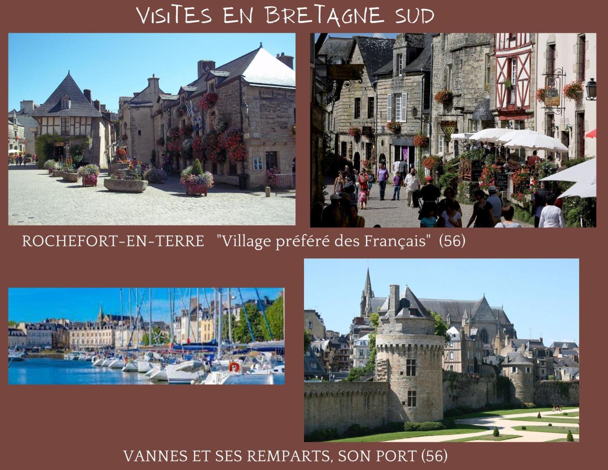 O Studio Terrasse - Centre Ville De Lorient - Gare מראה חיצוני תמונה
